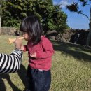 부룡수 스테이. 또 다른 애월 | 제주 아이랑 숙소 찾는다면, 제주 애월 &#39;스테이느긋&#39;! 프라이빗 풀빌라 가족여행 후기