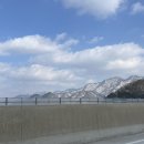 udogpia 유독피아 이미지