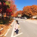설하정원
