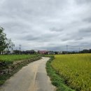 어단1리 이미지