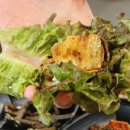 날아라홍돼지 이미지