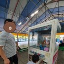 뽑기하니 네이버블로그