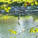 가장자리 이미지