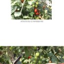 예강1길-1 이미지