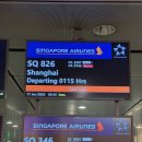 826 | 싱가포르항공 SQ826 비즈니스 탑승 후기 좌석 추천