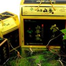 백화농장 이미지