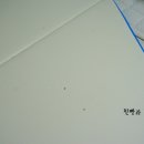 디자인스노우 이미지