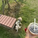 두림농장 이미지