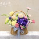 코지크란츠