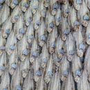 영해젓갈 이미지