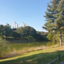 지장보건진료소 이미지