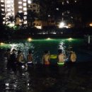 We swim at night! 이미지