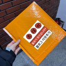 2025 코리아오픈레이스 10K 후기