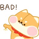 백세비타민약국 이미지