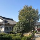 창원 진해향교 공자 위패 매안지 비석 | 마산향교 한국의 향교 166 경상남도 창원 옛 진해향교