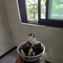 설빙 의왕역점