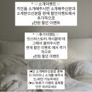 드뮤엘