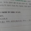 철수와영수