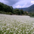 법흥2리 이미지