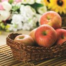 감성 인테리어 라탄공예 이미지