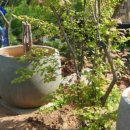 정금농장 이미지