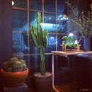 반건축사사무소 이미지