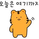 백프로 복싱체육관 이미지