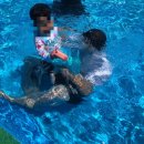 칠보물테마 유원지 | 칠보물테마유원지 후기 및 준비물