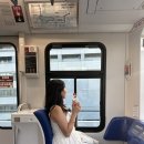 유리카모메 | 도쿄 오다이바 여행 유리카모메 패스 1윌권 예약 노선