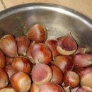 송함농장 이미지