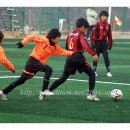 남동41 Daum카페