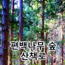자연나무병원