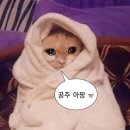제로백PC방 단대오거리점 | 내일의 내가 힘내겟지 모
