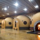 로뎀트리 이미지