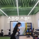 에코피티 이미지
