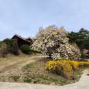 산천정사(山泉精舍) 네이버블로그