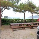 황금펜션 | 태안 가족여행에 최적화된 학암포황금펜션 후기