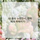 든든한방병원 이미지