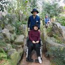 소방공무원과 함께하는 장애인 가을 힐링나들이 이미지