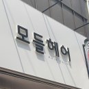 모들헤어