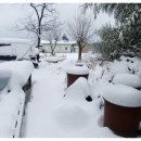 남해우리집 이미지