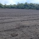 삼달교차로 2 이미지