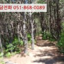 양덕동113 이미지