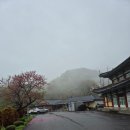 산마을민박 이미지