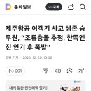 제주항공 여객기 사고 생존 승무원 &#39;조류충돌 추정, 한쪽 엔진 연기 후 폭발&#39; 이미지