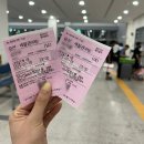 청노래연습장 | 울릉도여행 1편 &gt; 포항 울릉 크루즈 영일만항 → 울릉도사동선착장 왕복 탑승후기 2인실4인실 비교