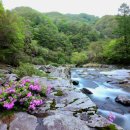 향기5로 이미지