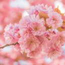 정발산로42번길 이미지