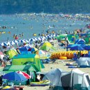 용두산장 이미지