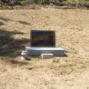 늘푸른장 이미지